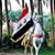 ابو مقتدى الربيعاوي's profile image