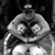 Tim Moller's profile image