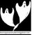 Judy Graehling's profile image
