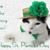 Janice Bauerlein Mulligan's profile image