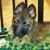 Deborah Kay Wade's profile image