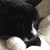 Catalina Benavides's profile image