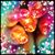 Melissa Golightly Sanchez's profile image