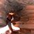 Joel Dyer's profile image