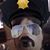 Brian Tougher's profile image