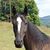 Shelia Rush's profile image