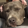 Jennifer W.'s profile image