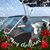 Aaron Glick's profile image