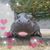 Tanya's Twin Taxi's profile image