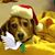 Kathy Wagner's profile image