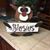 Andrea Blasius's profile image