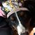 Dawn Montgomery's profile image