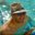Andrew Kruley's profile image