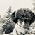 Priscilla Schleigh's profile image