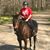 Marianne Caseiro's profile image