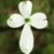 Kristle Vandiver's profile image