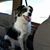 Lynn Bassham's profile image