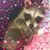 Brenda Andradzki Dodd's profile image