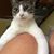Donna Jones's profile image