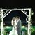 Sarita Blum's profile image