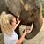 Samantha Olivia Jozwiak's profile image