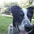Nancy Golas Krull's profile image