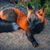 Cathy Shaw Detwiler's profile image