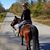 Stephanie Druin's profile image