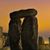 Marcia Lanting's profile image