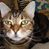 Gary Blatt's profile image