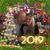 Sharon Martin Andersson's profile image