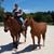 Melissa Levitsky's profile image