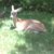 Paulette Kevlin's profile image