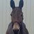 Trish Hunley's profile image