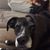 Valerie Miller's profile image