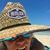 Dawn Kozash's profile image