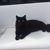 Kimberly Clark's profile image