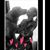 Kelly Johnson's profile image