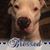 Tammy Burgess's profile image