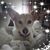Gayle Tauger's profile image