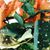 Catherine Wetzell's profile image