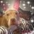 Amy Barnes's profile image