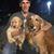 Steve Pesch's profile image