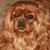 Molly Malone's profile image