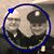 Annette Colyer Scarpino's profile image