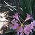 Lori Gallich's profile image