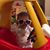 Matt Swoboda's profile image