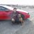 Justin Whitis Pratt's profile image