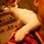 Arlene Dan Browne's profile image