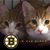 Kathleen Hardin-Familetto's profile image